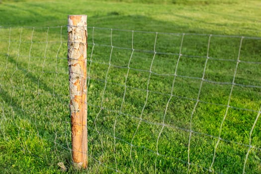 Wooden pole and wire fence, with green meadow in background. Farm railing.