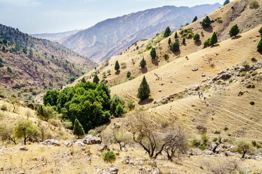 A group of tourists on a trail in Shirkent National Park in Tajikistan