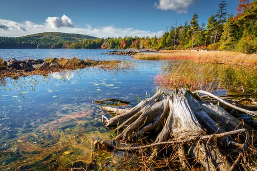 Scenic view of Eagle Lake in Acadia National Park in fall