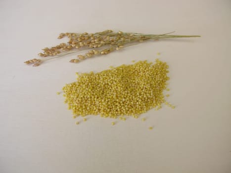 Small-seeded millet on wooden board