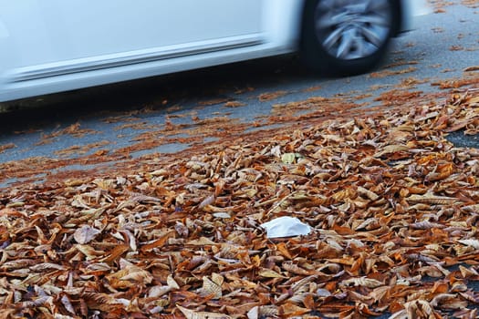 Corona in autumn. A protective mask lies as litter on the ground in the foliage next to a road