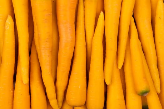 Red carrot on wooden as quantity. Top view carrot concept.