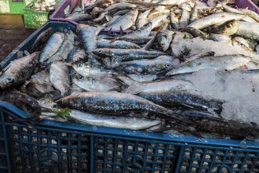 Pile of fish in plastic boxes with ice on display at street market - Marrakesh Morocco.
