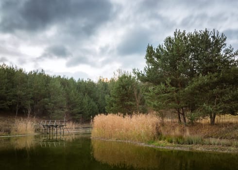 Small pond in the forest
