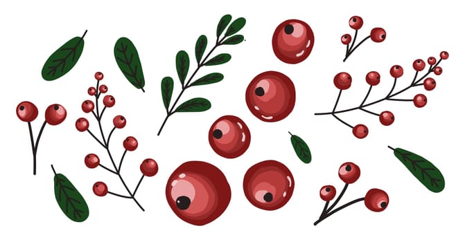 Red berries isolated on white. Cranberry. Elements for creating patterns.