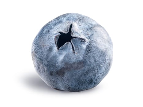 Single blueberry berry isolated on a white background