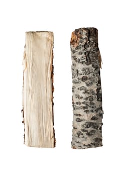 Chopped up firewood isolated in studio