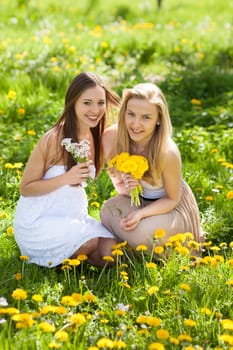 two young women picking flowers in a meadow in spring