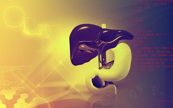 Digital illustration of Liver and stomach in colour background
