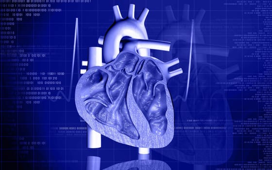 Digital illustration of heart in colour background