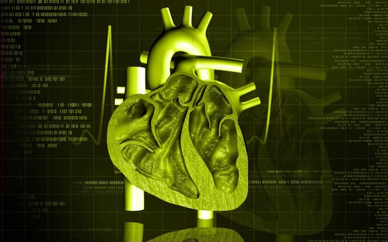 Digital illustration of heart in colour background