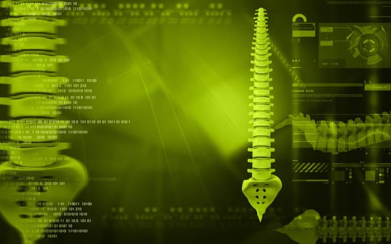 Digital illustration of back bone in colour background