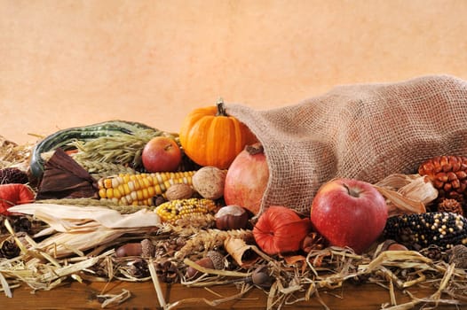 Thanksgiving – various pumpkins,corn cobs,apples and cereals in a jute bag on straw with text clearance against a brown background