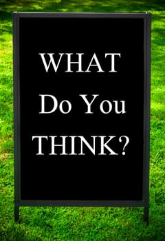 WHAT DO YOU THINK?  message on sidewalk blackboard sign against green grass background. Copy Space available. Concept image