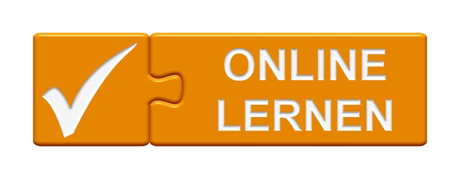 Puzzle button from two parts with icon shows learning online