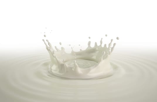Milk pouring with crown splash in milk pool with ripples. Close up bird eye view.