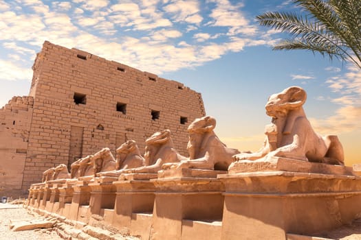 Karnak Temple, an avenue of human headed sphinxes, Luxor, Egypt.