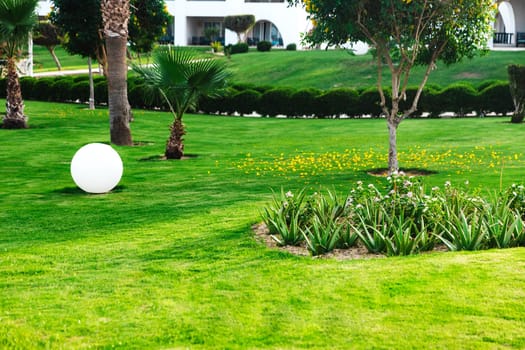 Beautiful landscaping on the territory of the hotel using a green lawn, paths and various plants. Landscape design business. Professional exterior planning and implementation. Yellow petals on lawn