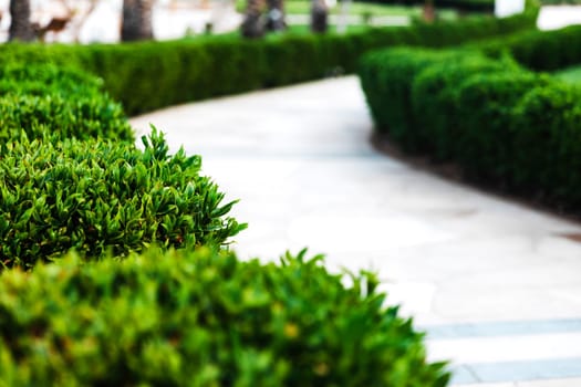 Beautiful landscaping on the territory of the hotel using a green lawn, paths and various plants. Landscape design business. Professional exterior planning and implementation. High quality photo