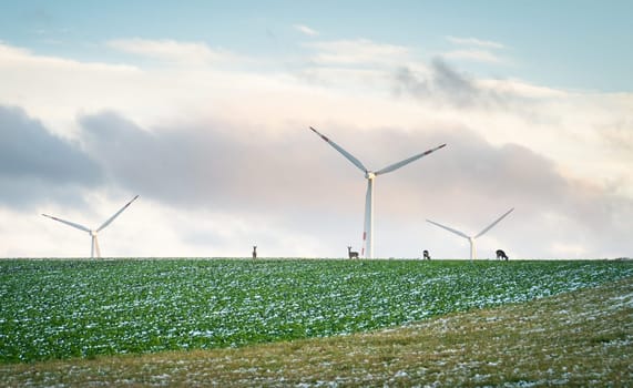 Wind turbines energy in burgenland with some deer in front