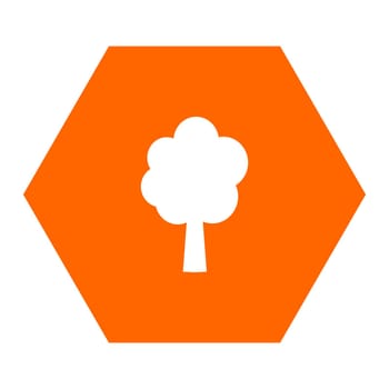 Tree and hexagon