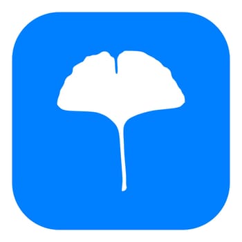 Ginkgo leaf and app icon