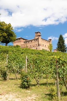 Vineyard in Piedmont Region, Italy, with Grinzane Cavour castle in the background. The Langhe is the wine district of Barolo wine.