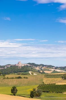 Barbera vineyard in Piedmont - Piemonte - region, Italy. Countryside landscape in Langhe area.
