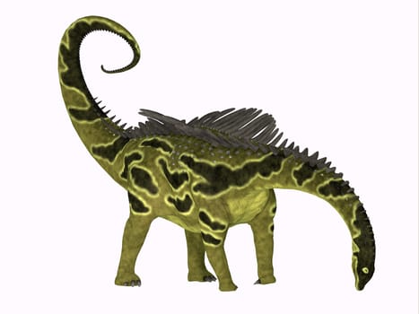 Agustinia was an armored sauropod dinosaur that lived in South America during the Cretaceous Period.