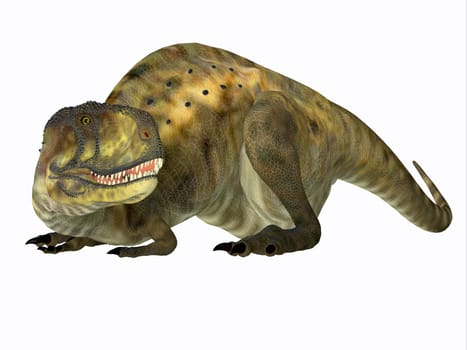 Abelisaurus was a carnivorous theropod dinosaur that lived in Argentina during the Cretaceous Period.