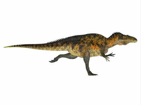Acrocanthosaurus was a carnivorous theropod dinosaur that lived in North America during the Cretaceous Period.