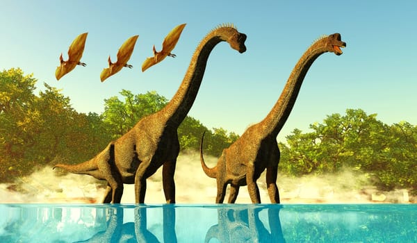 Pterodactyl reptiles fly over two Brachiosaurus Titanosaur sauropod dinosaurs enjoying the water.