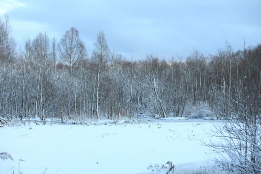 white frozen forest lake surrounded by snow-covered trees
