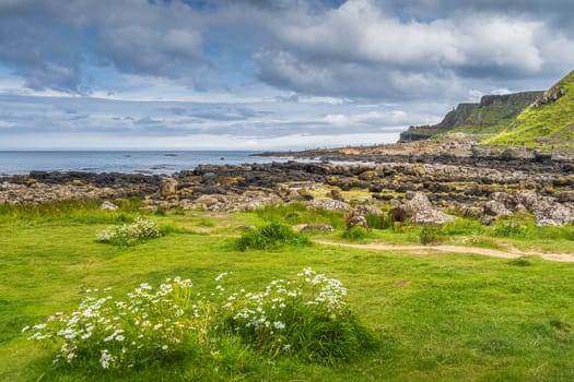Group of people on main hexagonal rock formation in Giants Causeway, Wild Atlantic Way and UNESCO world heritage, Northern Ireland