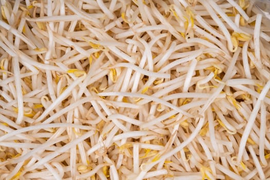 fresh and tasted soy and organic vegetables as a background