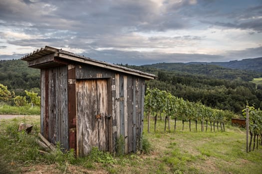 Rebhütte im Schwarzwald