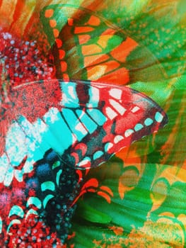 butterflies sitting on the flower, abstraction