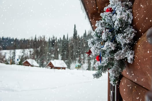 Ready for New year in pine forest