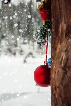 Ready for New year in pine forest