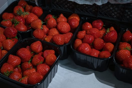 Assortment of fresh strawberry at market