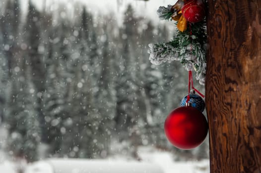 Ready for New year in pine forest