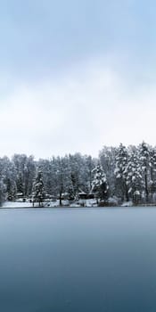 Winter landscape: ice-covered lake and snow-covered forest.