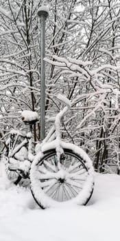 A bicycle covered with snow stands near a pole in the park in winter.