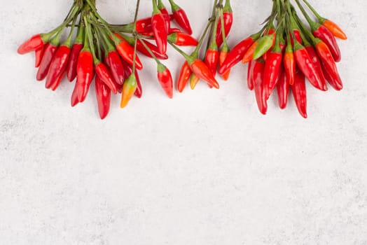 Red hot chilli pepper on a white textured background, ingredients for spicy food, copy space for text