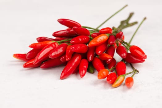 Red hot chilli pepper on a white textured background, ingredients for spicy food, copy space for text