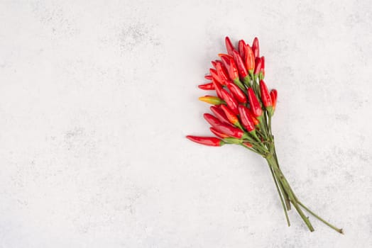 Red hot chilli pepper on a white textured background, ingredients for spicy food, copy space for text