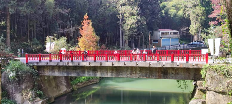 Zhushan, Nantou County - Dec 1, 2021: Shanlinxi Forest Ecological Resort features rich theme activities, seasonal flowers and rich ecology