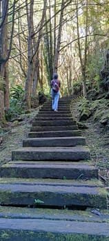Zhushan, Nantou County - Dec 1, 2021: Shanlinxi Forest Ecological Resort features rich theme activities, seasonal flowers and rich ecology