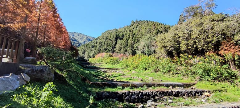 Zhushan, Nantou County - Dec 1, 2021: Shanlinxi Forest Ecological Resort features rich theme activities, seasonal flowers and rich ecology