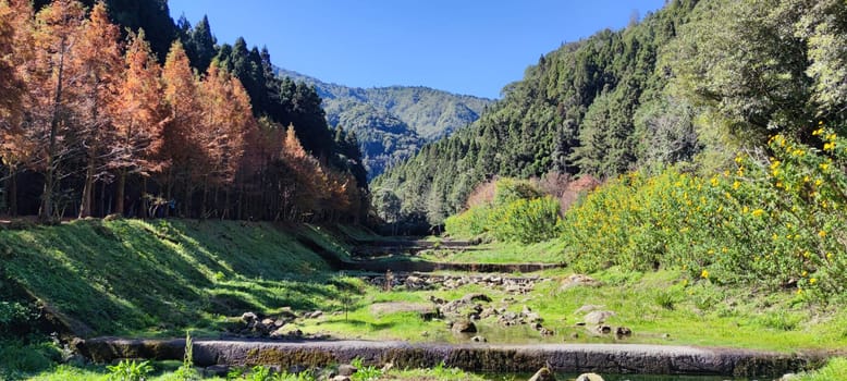 Zhushan, Nantou County - Dec 1, 2021: Shanlinxi Forest Ecological Resort features rich theme activities, seasonal flowers and rich ecology